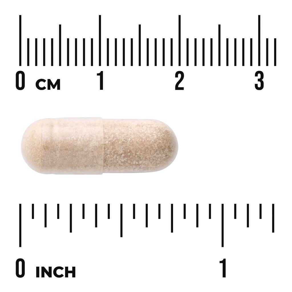 Prostate Glandular - Men's Health