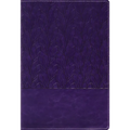 Amplified Holy Bible, Large Print, Leathersoft, Purple: Captures the Full Meaning Behind the Original Greek and Hebrew