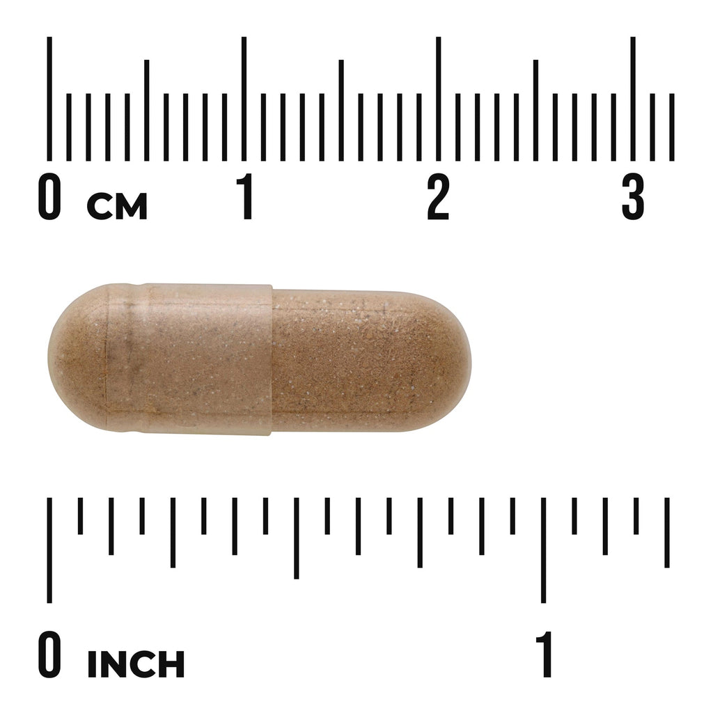 Full Spectrum African Mango Irvingia Gabonensis