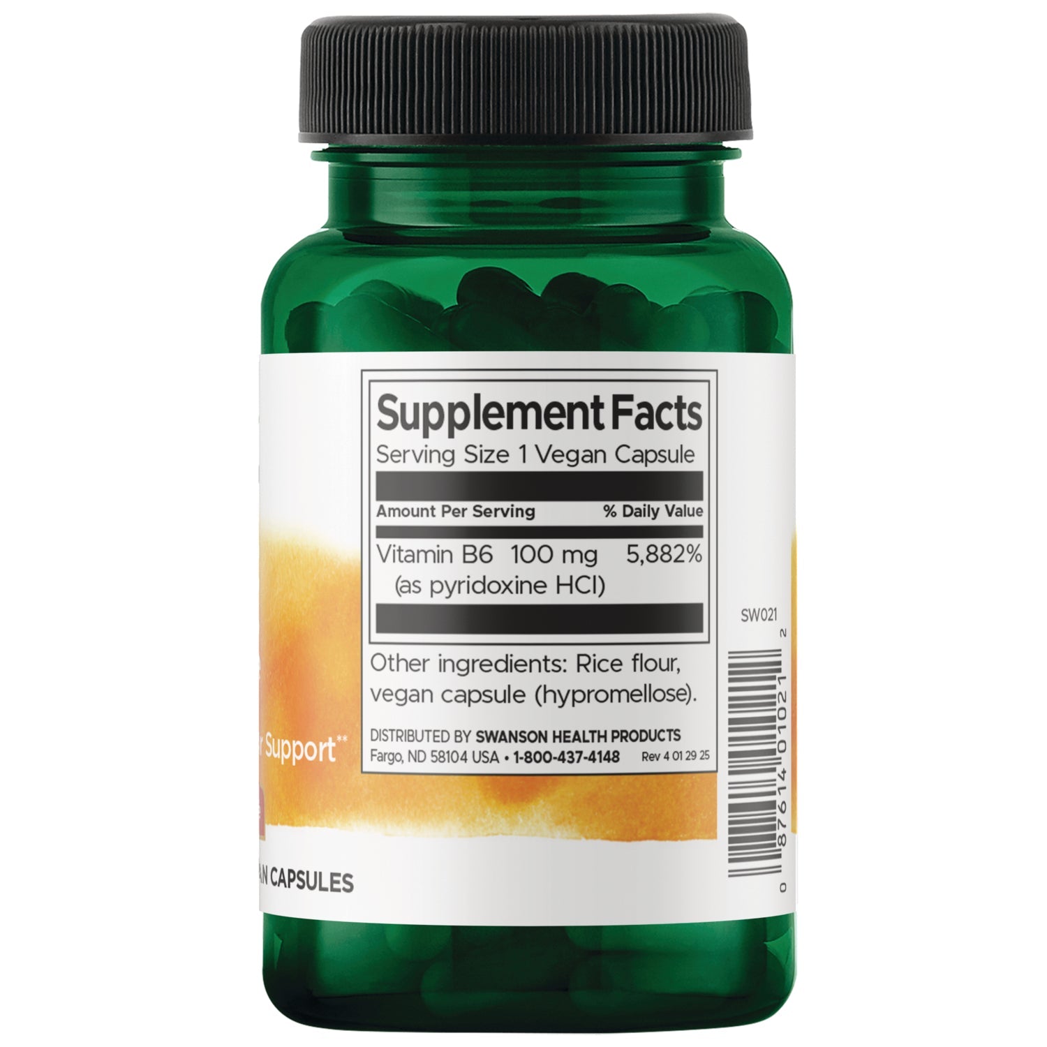 Vitamin B6 Pyridoxine