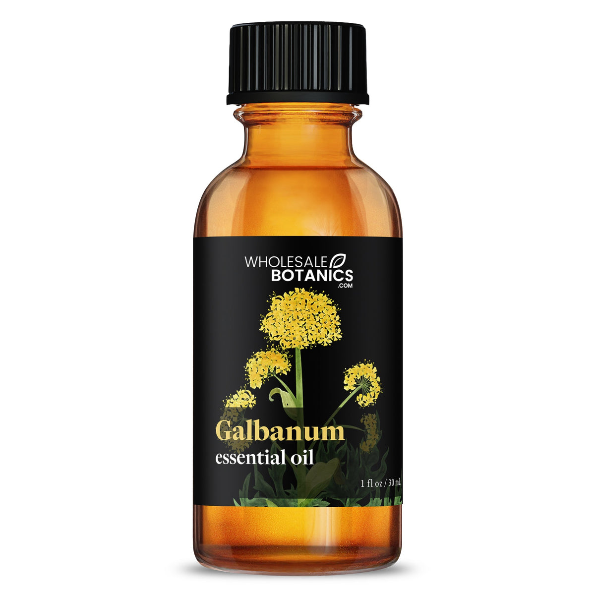 Galbanum Essential Oil
