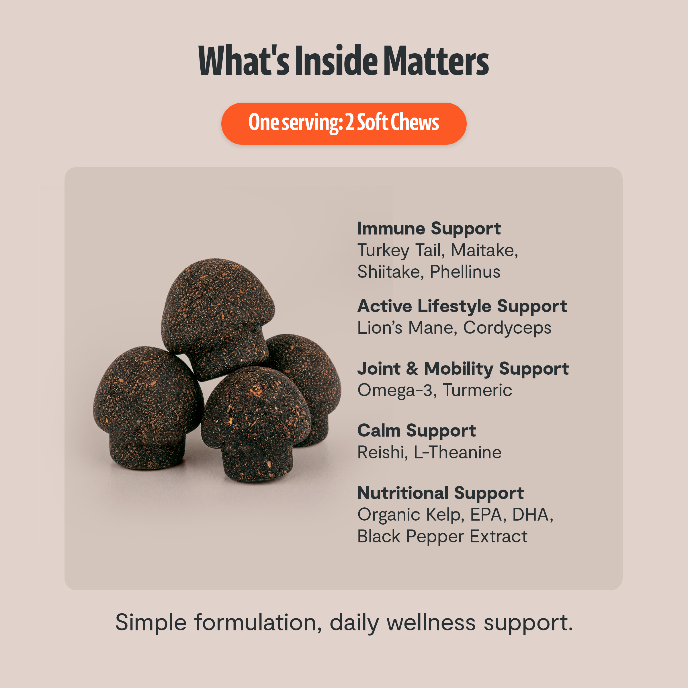 Organic Mushroom Complex for Dogs