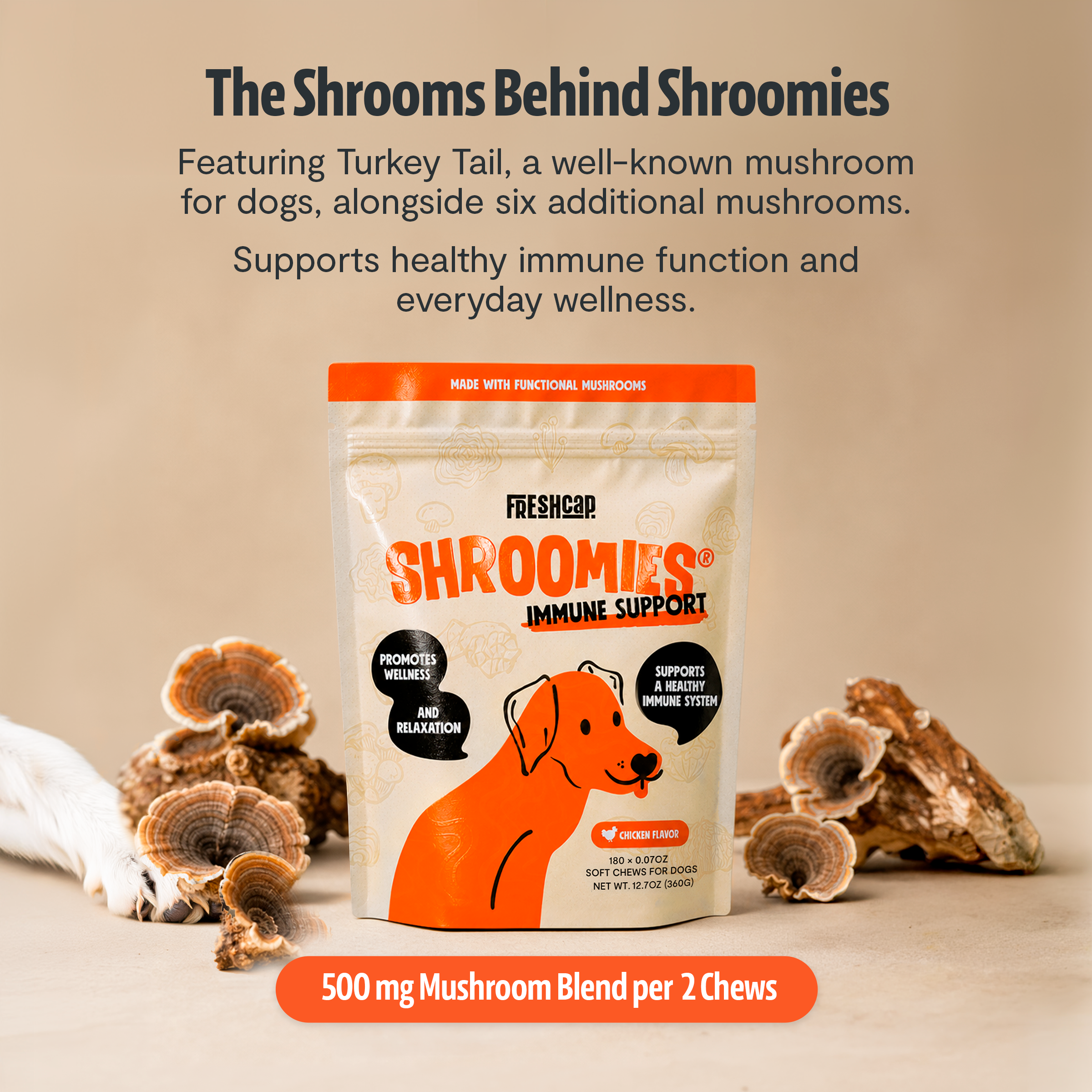 Organic Mushroom Complex for Dogs