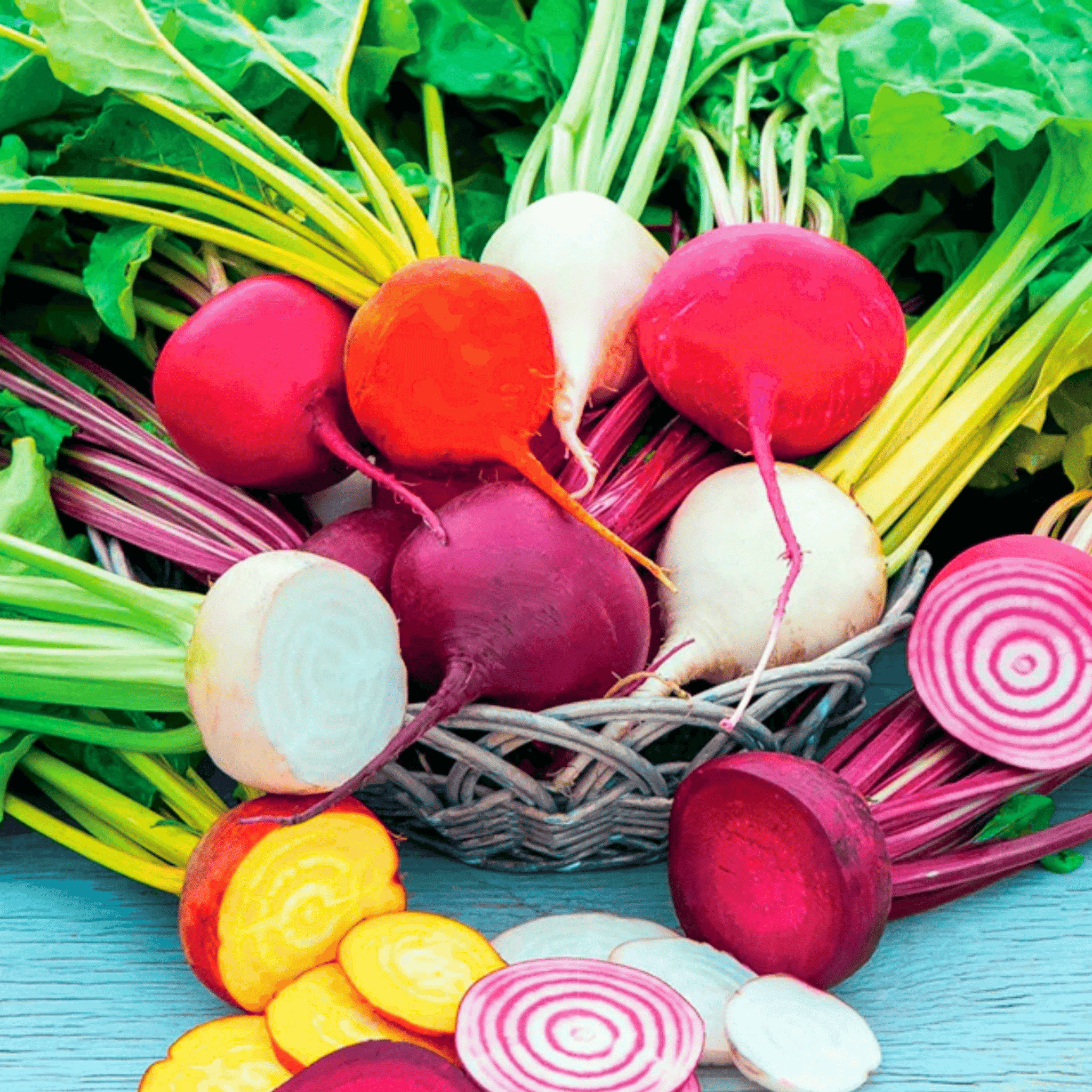 Gourmet Blend Beet – 50 Seeds