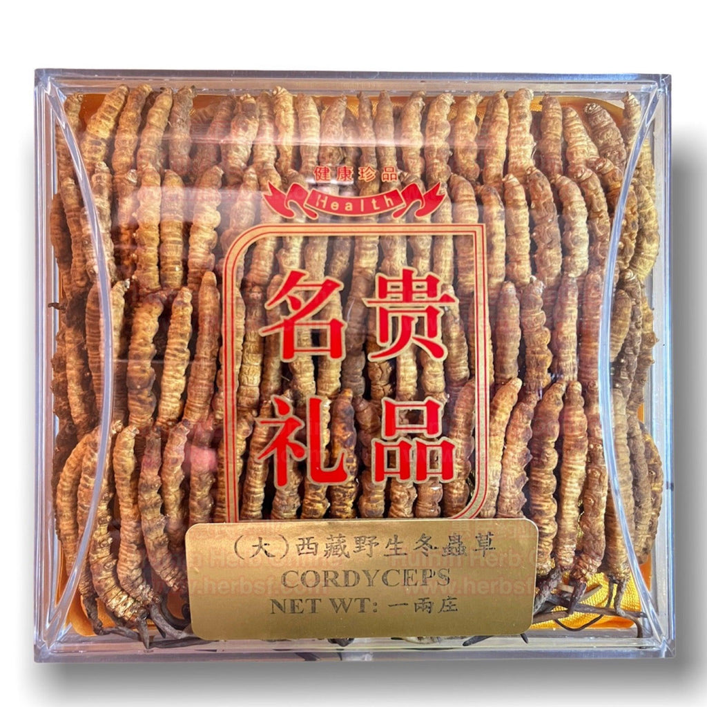 Large Wild Cordyceps Gift Box 37g