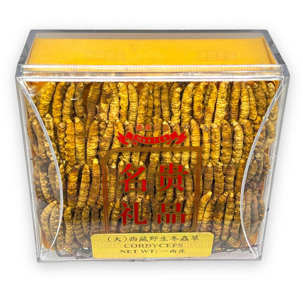 Large Wild Cordyceps Gift Box 37g