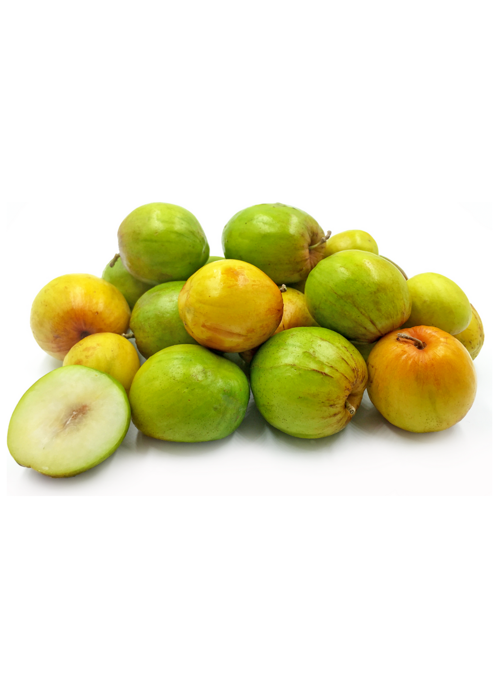 Indian Jujube (Ziziphus mauritiana)