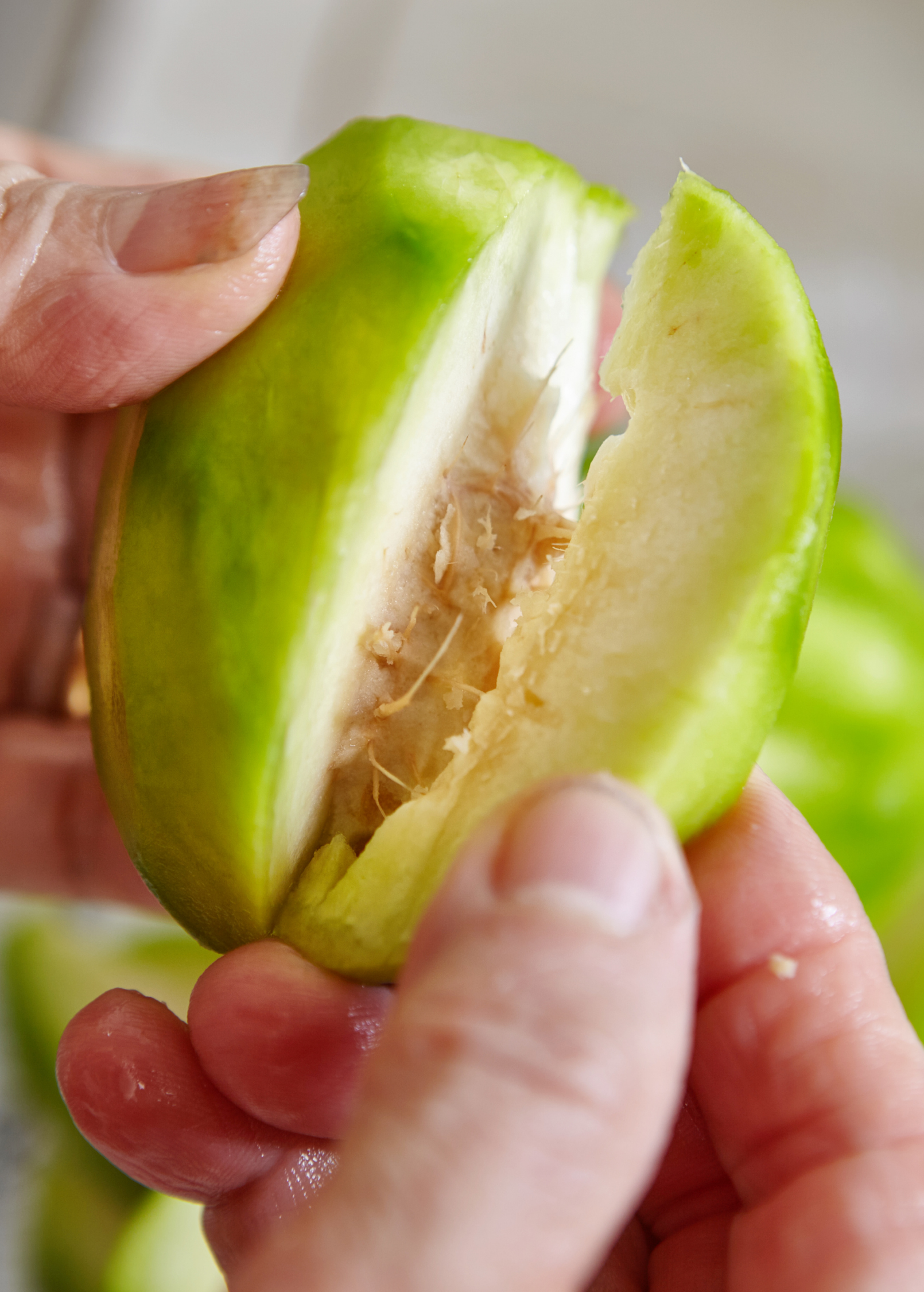 June Plum (Spondias dulcis)