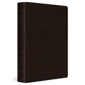 ESV Large Print Value Personal Size Bible (Trutone, Deep Brown)