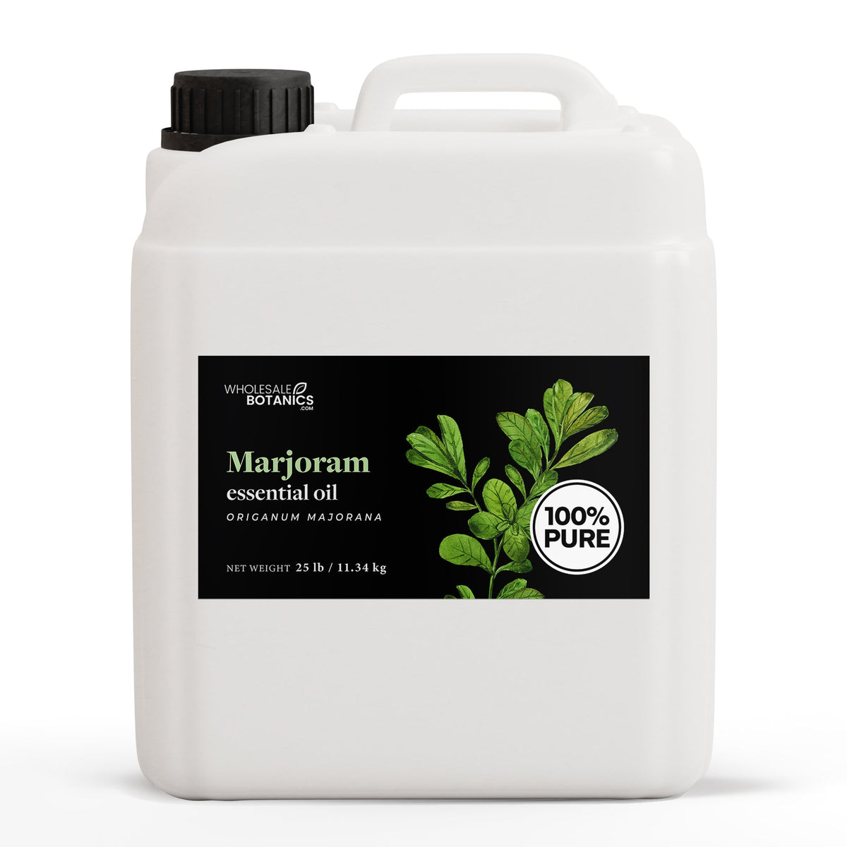 Marjoram (sweet) Essential Oil