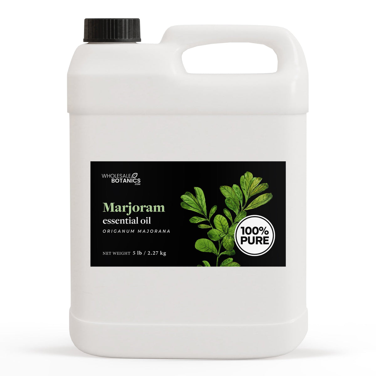 Marjoram (sweet) Essential Oil