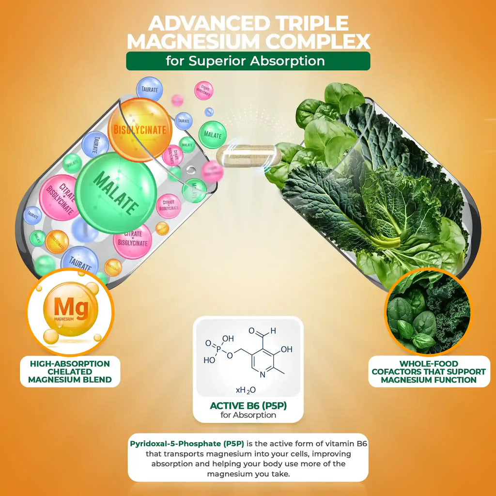 Magnesium AM: Triple Complex for Daytime Energy & Focus I MagniRise™