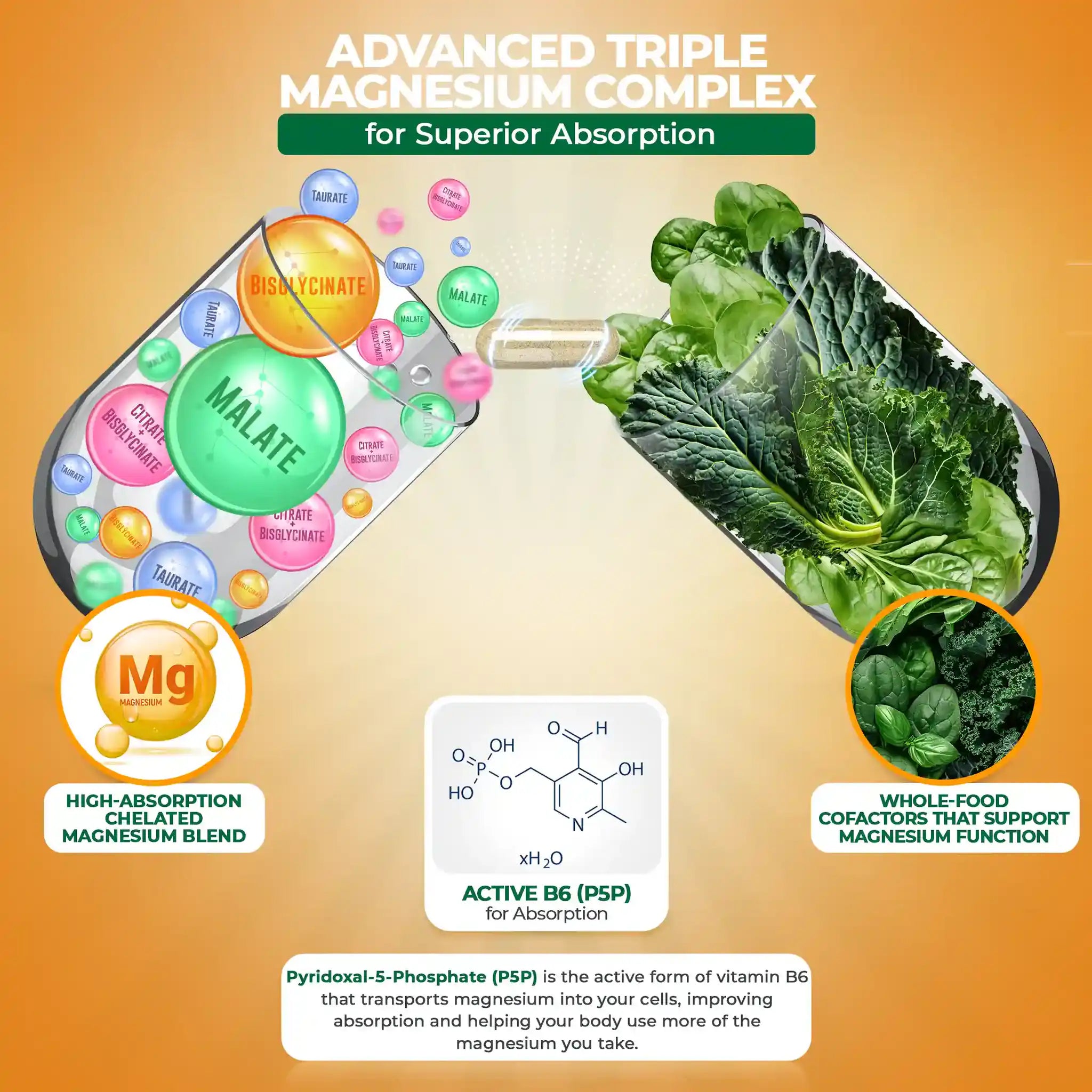 Magnesium AM: Triple Complex for Daytime Energy & Focus I MagniRise™