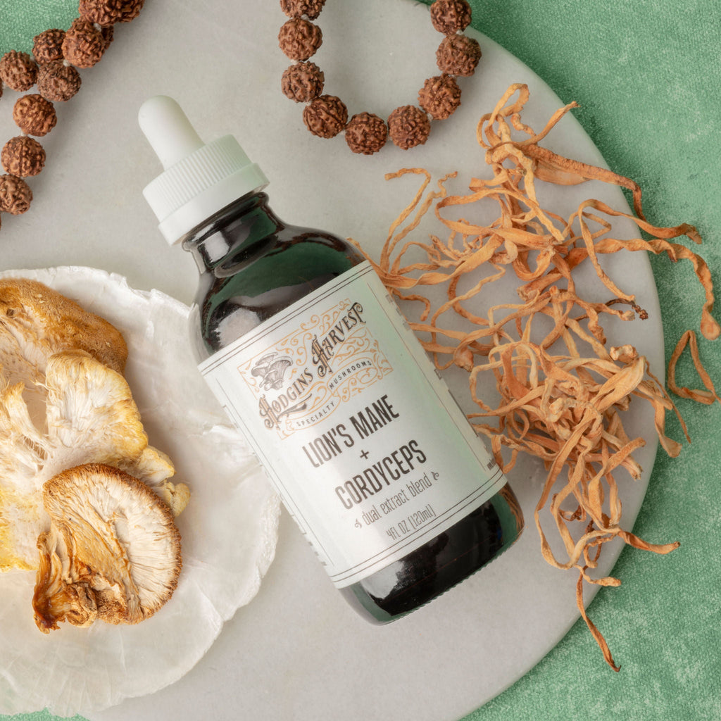 Lion's Mane + Cordyceps Dual Extract Tincture