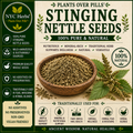Stinging Nettle Seed | Kidney Strength & Adrenal Support