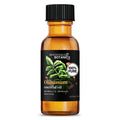 Olibanum Essential Oil