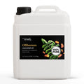 Olibanum Essential Oil
