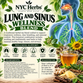 Lung and Sinus Wellness Blend (30 cups)