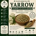 Yarrow Flower | Resilience, Circulatory Balance & Healing