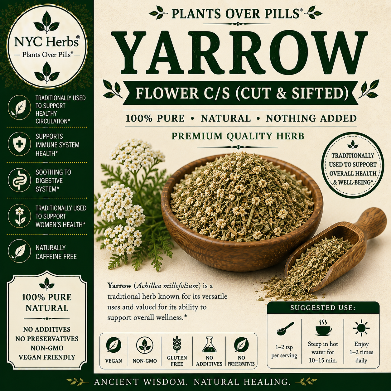 Yarrow Flower | Resilience, Circulatory Balance & Healing