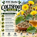 Coltsfoot