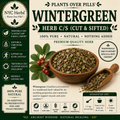 Wintergreen Herb | Pain Relief, Cooling Comfort & Respiratory Support