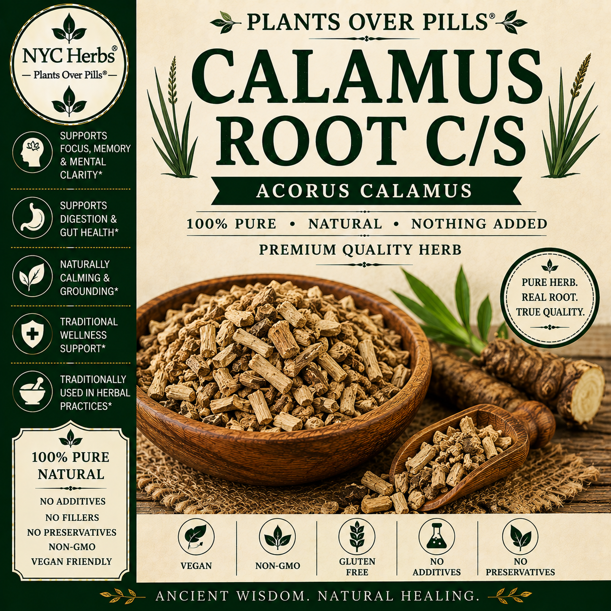 Calamus Root | Focus, Digestion & Nervous System Tonic