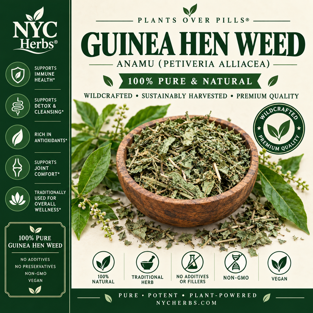 Jamaican Guinea Hen Weed (Anamu) | Immune Support & Traditional Healing