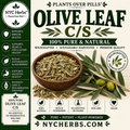 Olive Leaf c/s
