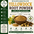 Yellow Dock Powder (Rumex crispus)