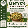 Linden Flower & Leaf | Calming Sleep Aid & Relaxation Herb