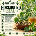 Horehound | Respiratory Relief & Digestive Aid
