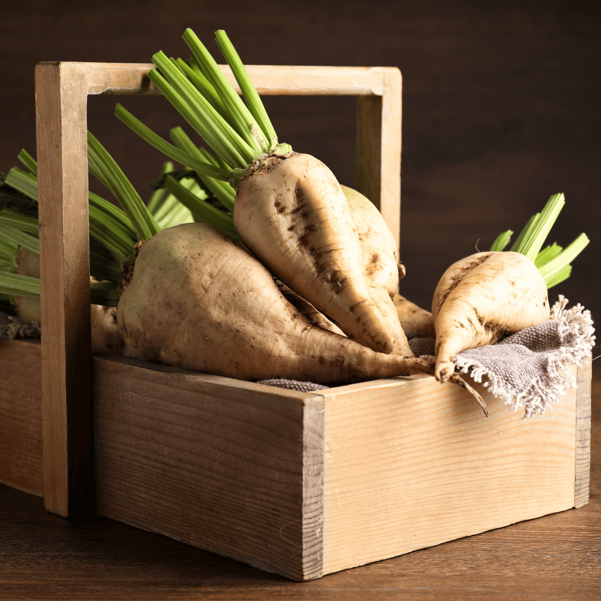 Sugar Beet – 50 Seeds