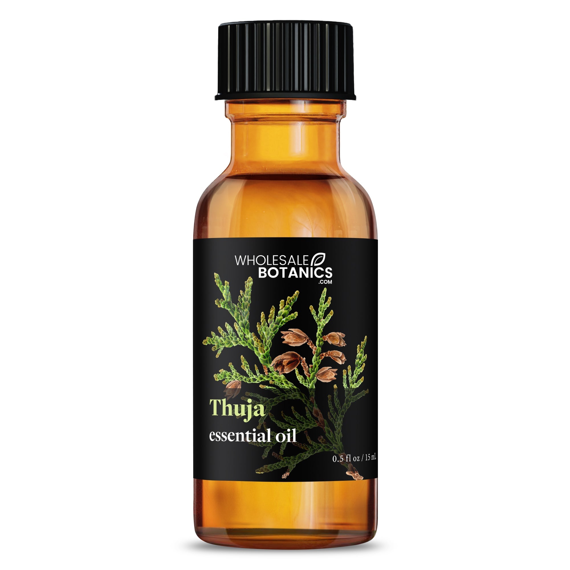 Thuja Essential Oil