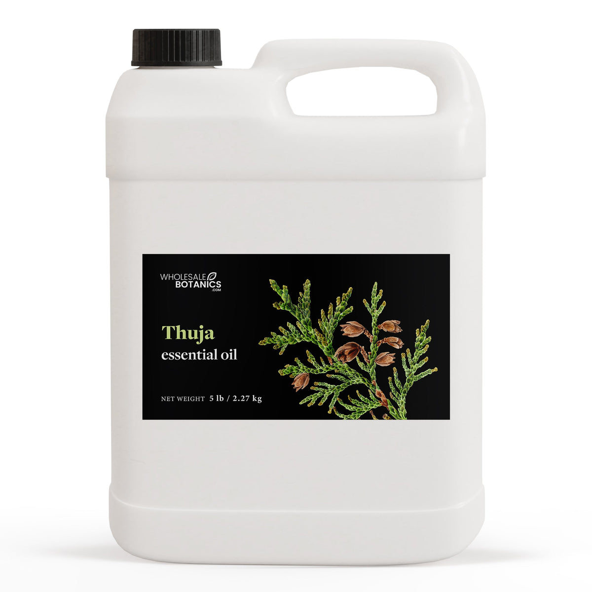 Thuja Essential Oil