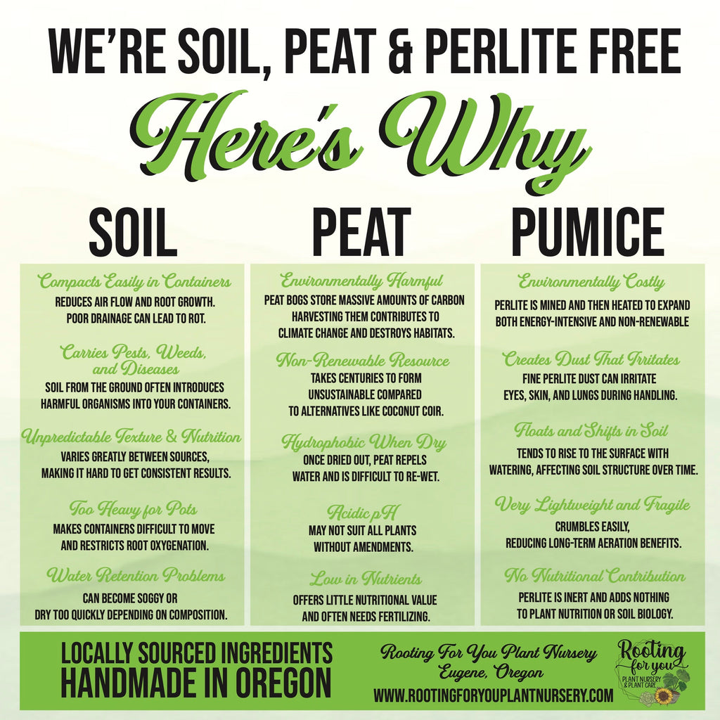 Blackberry / Marionberry Premium Potting Mix