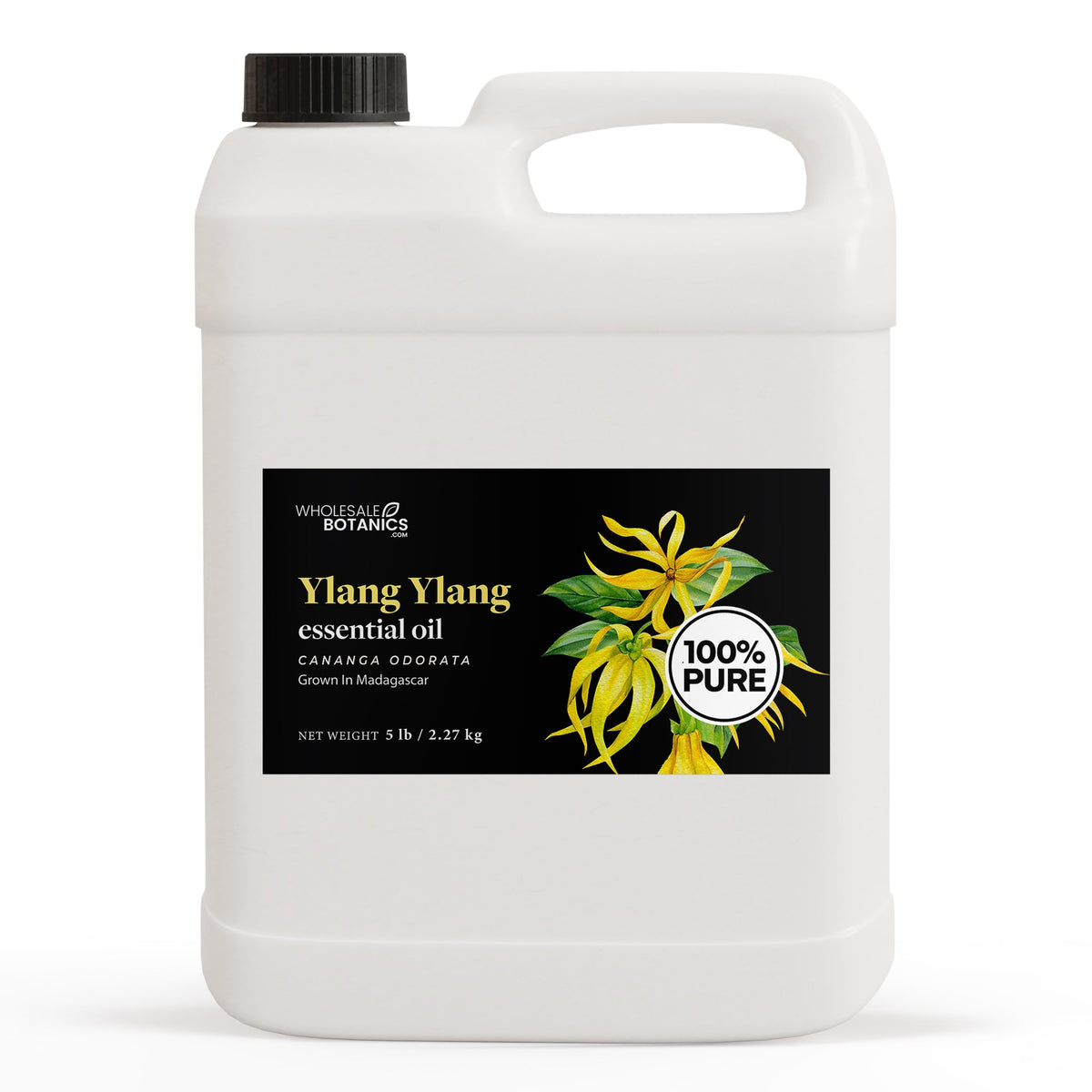Ylang Ylang Essential Oil