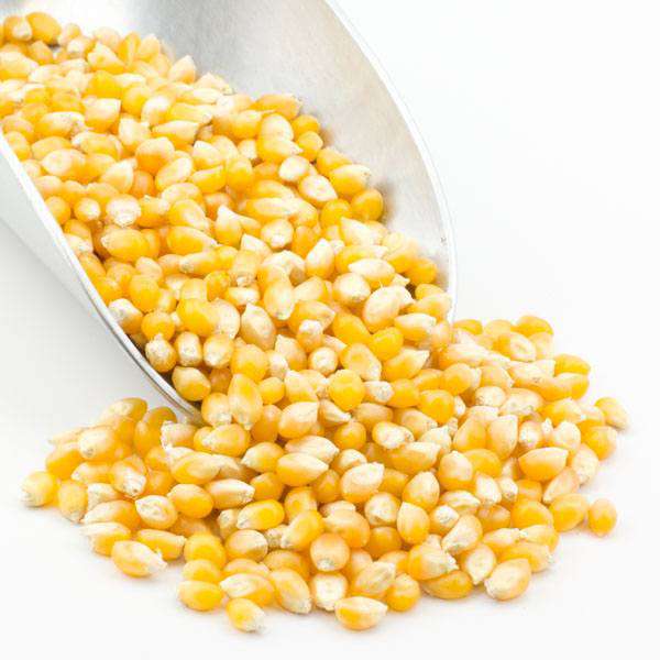 Popcorn, Yellow